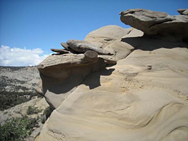 Raymond Alf Museum of Paleontology